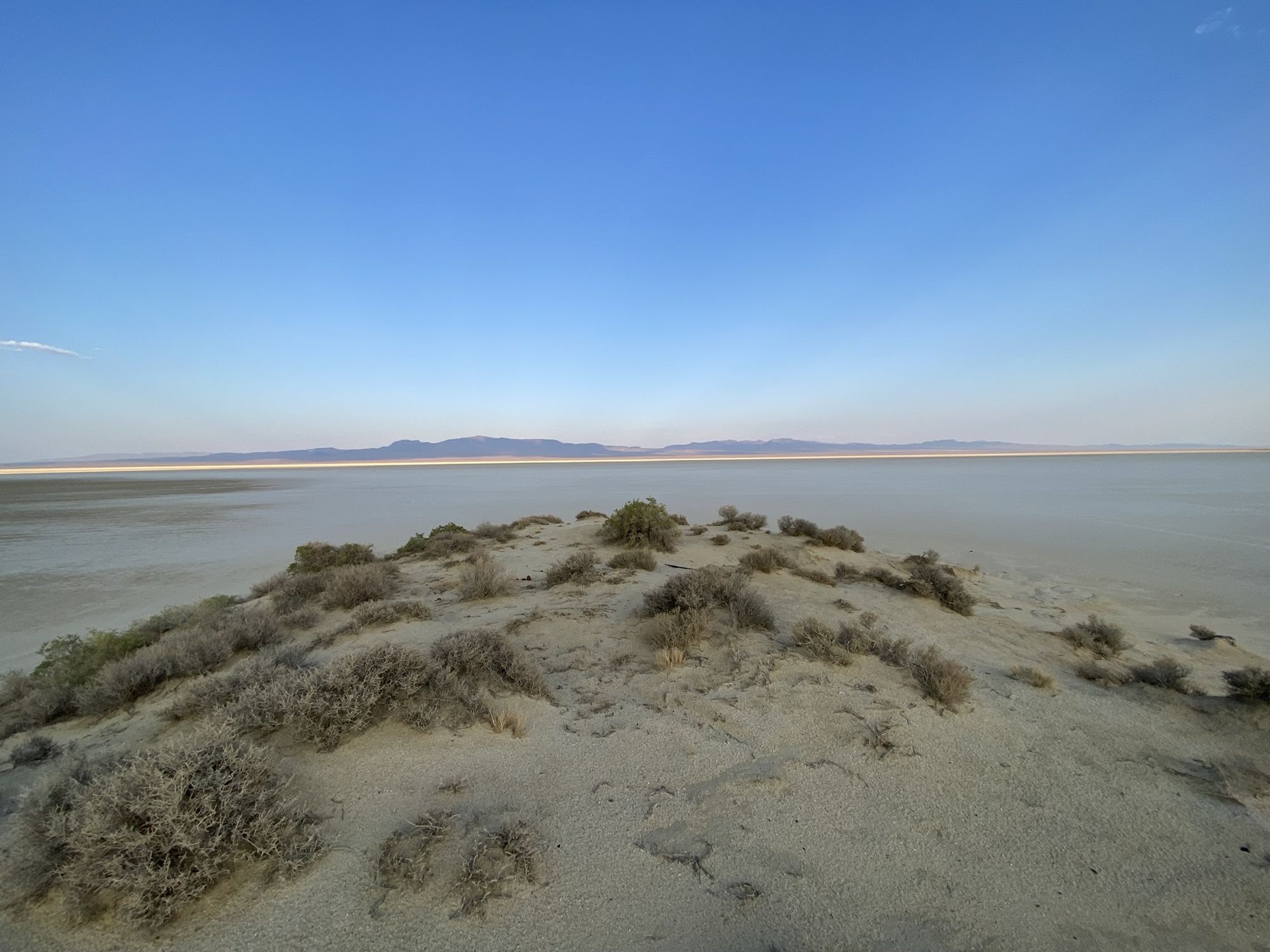 Sage-covered dune overlooking a dry playa and distant mountains in Pershing County, Nevada
